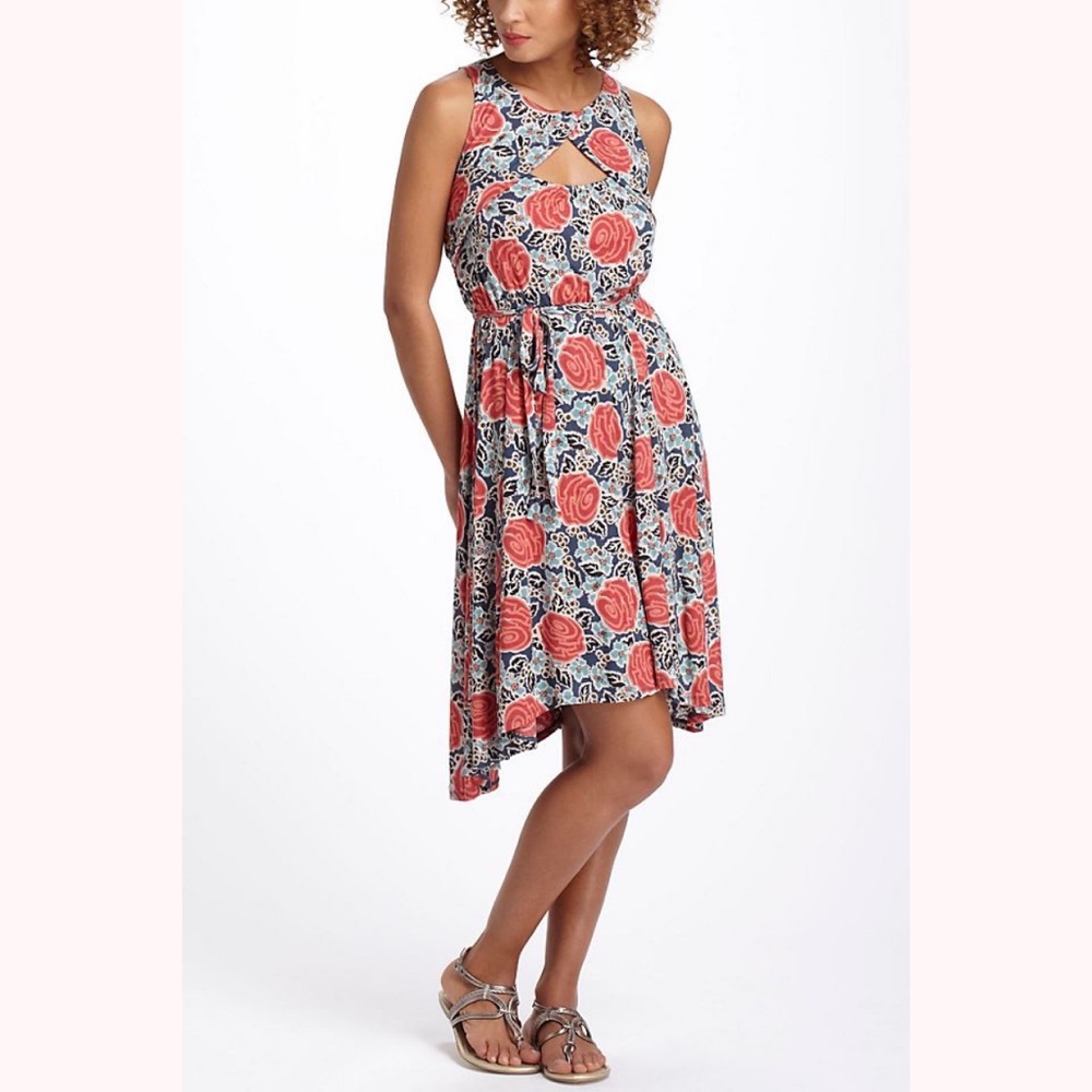 Anthropologie Lilka Meticulous Floribunda Chemise Dress Xs